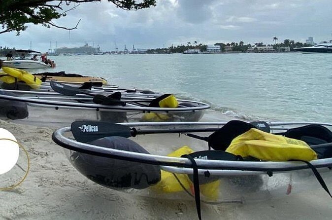 Clear Kayak Tour in South Miami Beach and Biscayne Bay - Who Should Book This Tour?