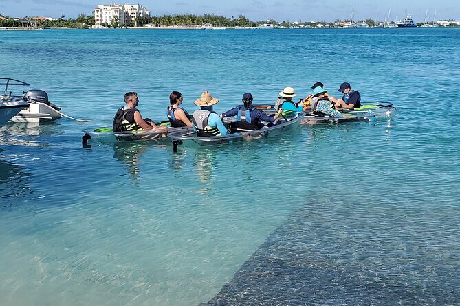 Clear Kayak Tour in Turks & Caicos Islands - What the Reviews Say