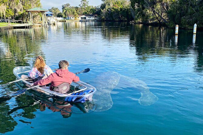 Clear Kayak Tour of Crystal River - What Makes This Tour Stand Out?