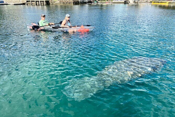 Clear Kayak Tour of Crystal River - The Sum Up: Who Should Consider This Tour?