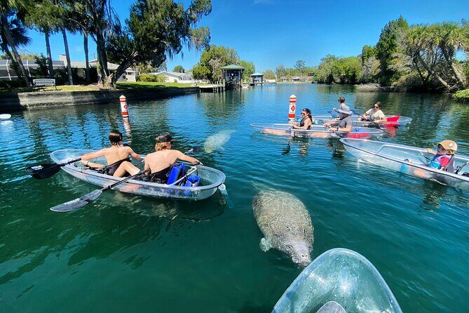 Clear Kayak Tour of Crystal River - FAQ