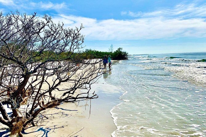 Clear Kayak Tour of Shell Key Preserve and Tampa Bay Area - The Beach and Shell Hunting