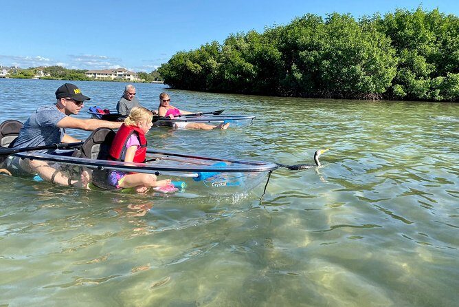 Clear Kayak Tour of Shell Key Preserve and Tampa Bay Area - Gear and Safety