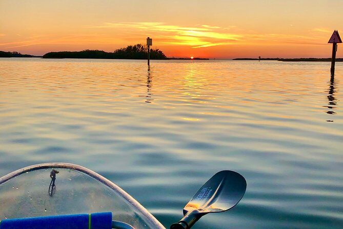 Clear Kayak Tour of Shell Key Preserve and Tampa Bay Area - Price and Value