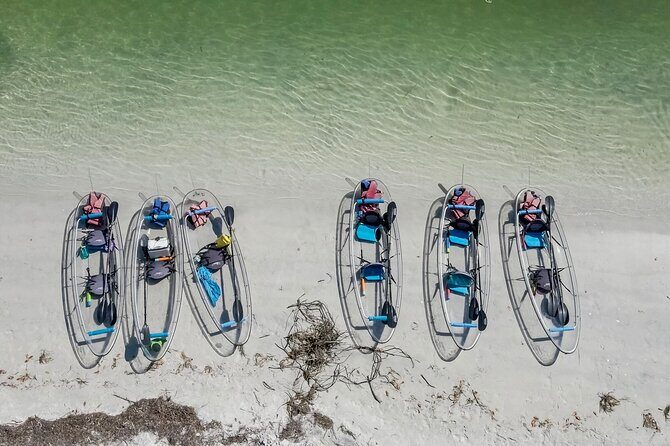 Clear Kayak Tour of Shell Key Preserve and Tampa Bay Area - Practical Tips for Participants