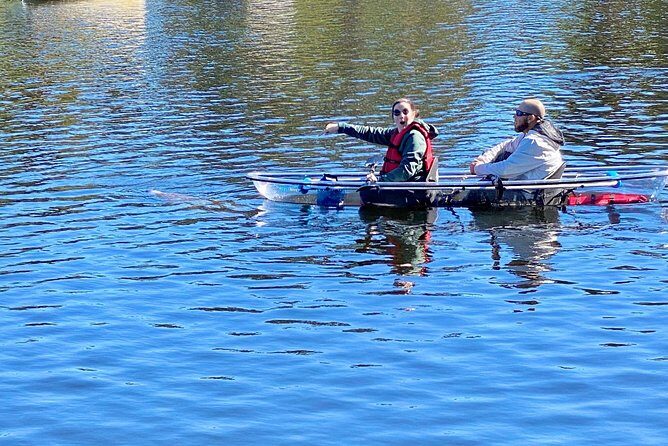 Clear Kayak Tour of Tarpon Springs | Manatee Season - Authentic Experiences from Other Travelers