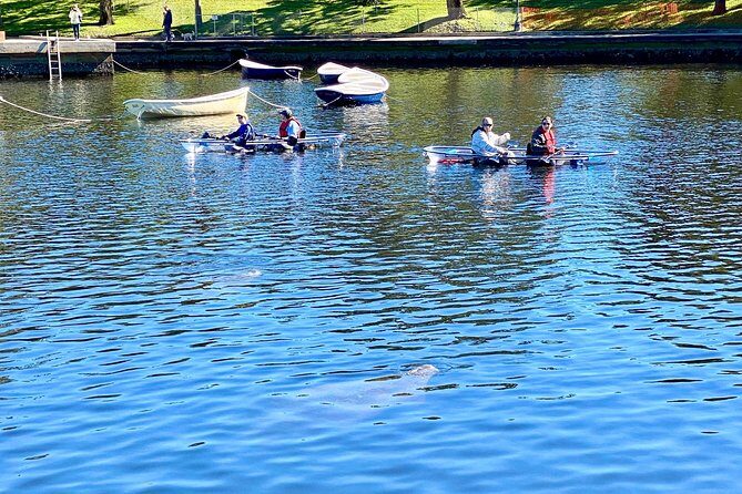 Clear Kayak Tour of Tarpon Springs | Manatee Season - The Sum Up: Who’s This Tour For?