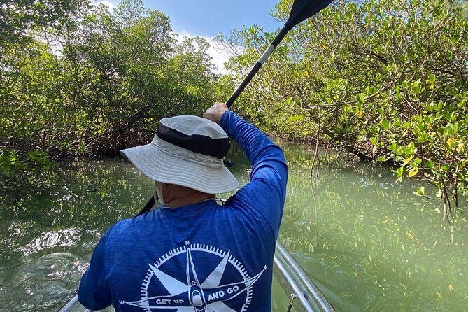 Clear Kayak Tours in Fort Pierce - Why This Tour Works for You