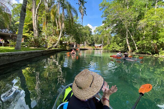 Clear Kayak Tours in Weeki Wachee - A Detailed Look at the Experience