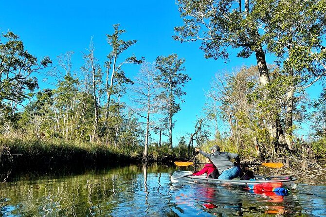 Clear Kayak Tours in Weeki Wachee - Who Should Consider This Tour?