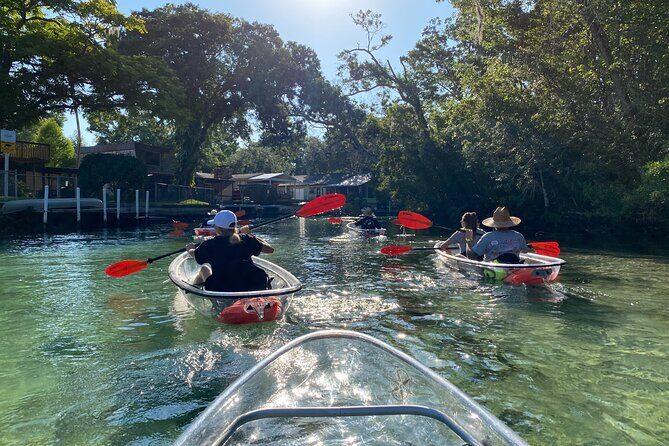 Clear Kayak Tours in Weeki Wachee - The Sum Up