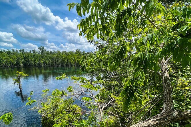 Clear Kayaking Eco Adventure Tour in Marianna - An In-Depth Look at the Experience
