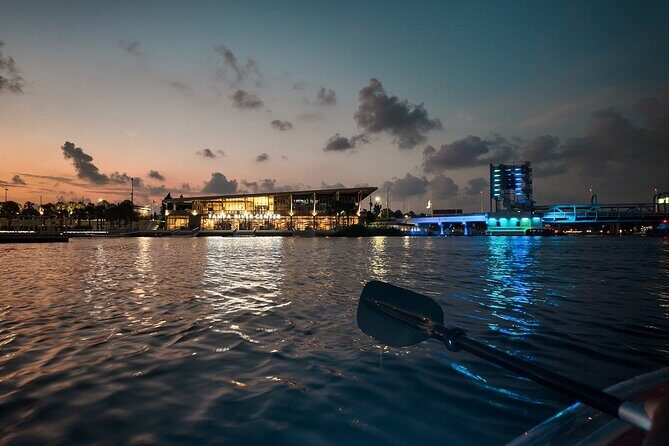 Clear Kayaking Glow Tour in Tampa Riverwalk - The Experience for Different Travelers