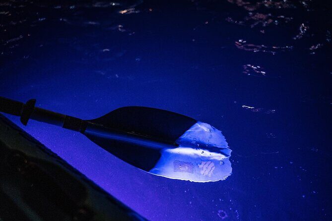 Clear LED Kayaking in Condado Lagoon - An In-Depth Look at the Condado Lagoon LED Kayaking Tour