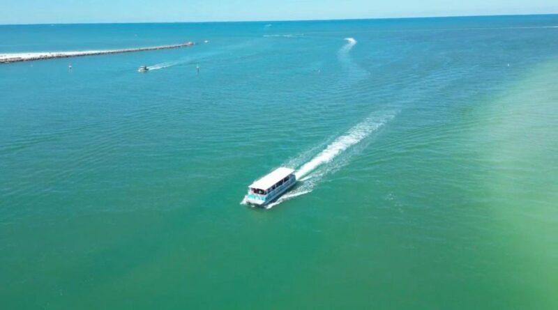 Clearwater Beach: Dolphin & Island Sandbar Cruise - A Practical Overview of the Tour
