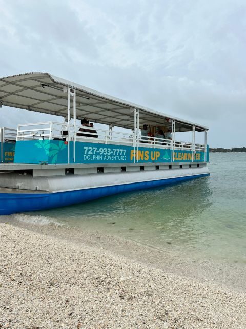 Clearwater Beach: Dolphin & Island Sandbar Cruise - Final Thought