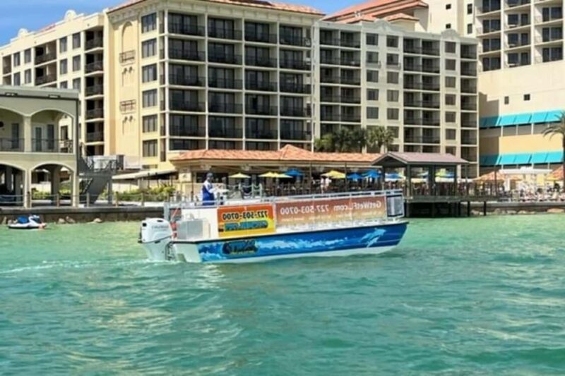 Clearwater Beach: Dolphin-Watching Sunset Cruise - Key Points