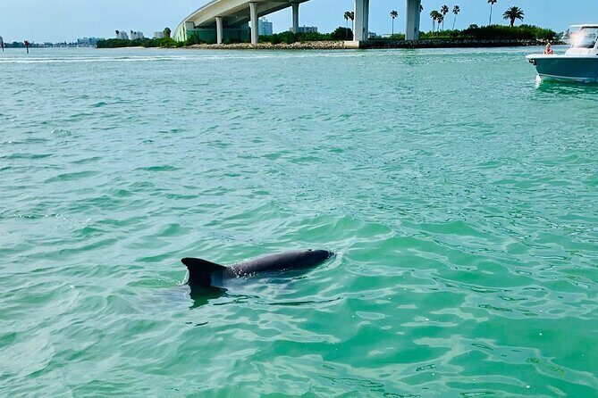 Clearwater Beach Private Pontoon Boat Tour for six - The Sum Up: Is It Worth It?