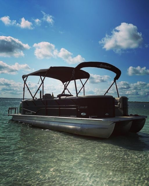 Clearwater Beach Private Pontoon Tours - What to Expect: A Typical Day on the Water