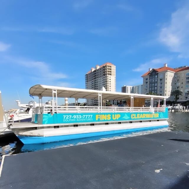 Clearwater Beach: Sunset and Harbor Lights Cruise - Authentic Traveler Perspectives