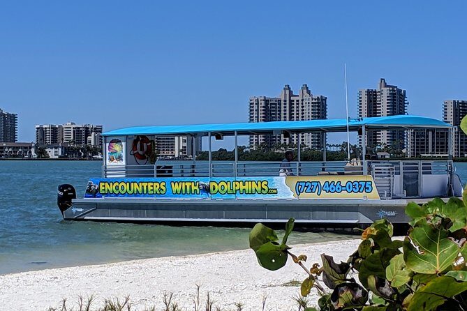 Clearwater Encounters with Dolphins Tour - A Thorough Look at the Clearwater Encounters with Dolphins Tour