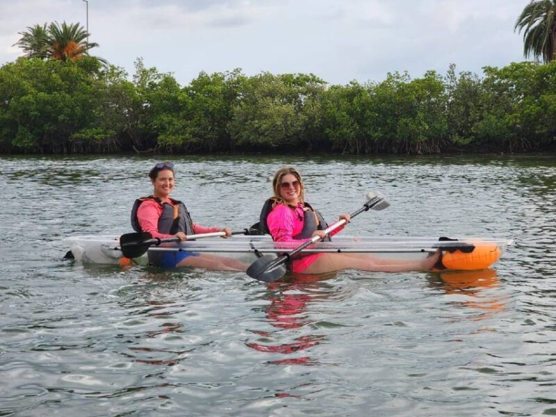 Clearwater: Guided Clear Kayaking Tour - The Sum Up: Is It Worth It?