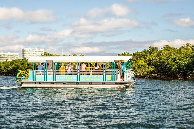 Clearwater Island Hop and Dolphin Watch with Swimming - Wildlife Encounters and Scenic Stops