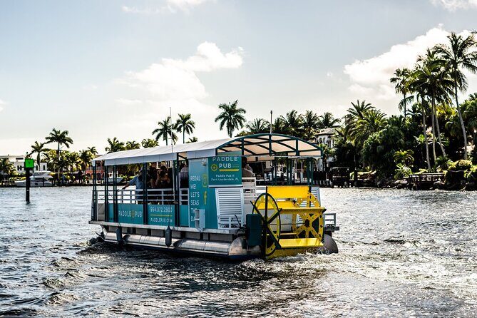 Clearwater Island Hop and Dolphin Watch with Swimming - Celebrity and Aquarium Visits