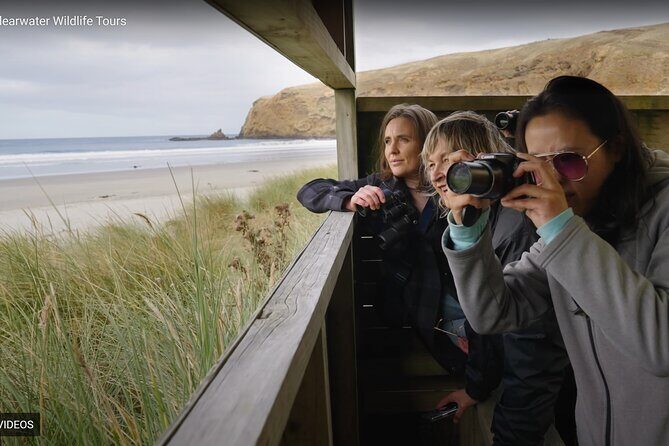 Clearwater Private Penguin & Wildlife Tour from Port Otago (5hrs) - FAQs