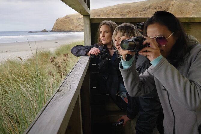 Clearwater Wildlife Tours (small group 10max) Otago Peninsula - The Sum Up