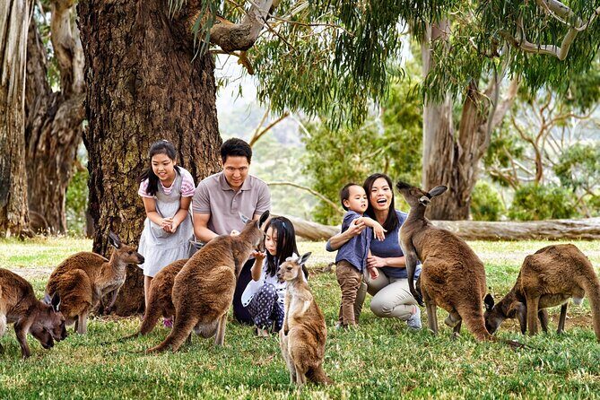 Cleland Wildlife Park Experience - from Adelaide including Mt Lofty Summit - FAQ