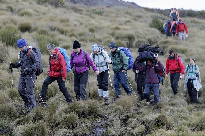 Climb Kilimanjaro, 7 Days Machame Route Hiking - Key Points