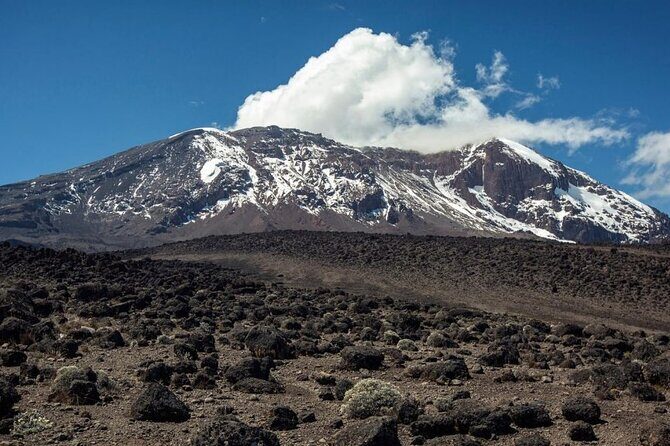 Climb Kilimanjaro, 7 Days Machame Route Hiking - Who is This Tour Best For?