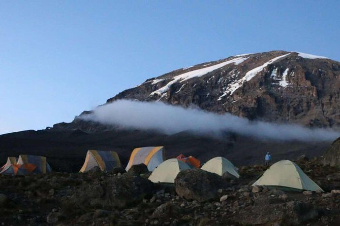 Climb Kilimanjaro 8-Day Lemosho Route with Stunning Scenic Views - Introduction: What Makes This Kilimanjaro Tour Stand Out?