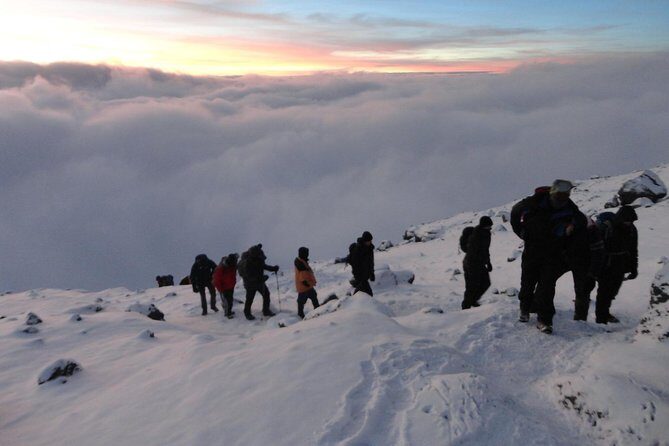 Climb Kilimanjaro 8-Day Lemosho Route with Stunning Scenic Views - The Sum Up: Who Should Consider This Tour?