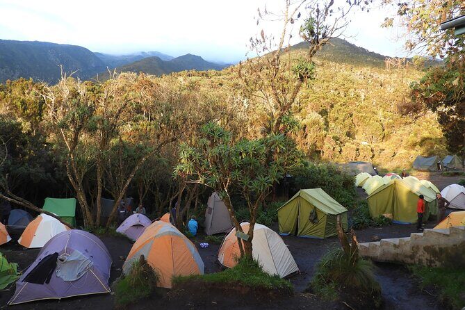 Climb Kilimanjaro - Lemosho Route 7 Day Climb - The Sum Up