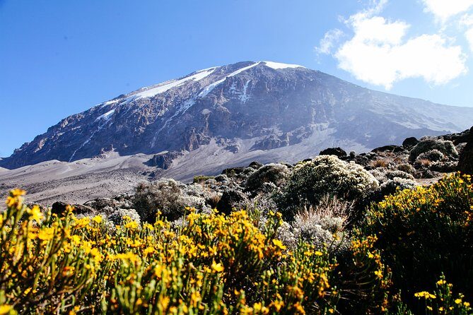 Climb Kilimanjaro - Marangu Route 8 Day Program - Introduction: Who This Tour Is For