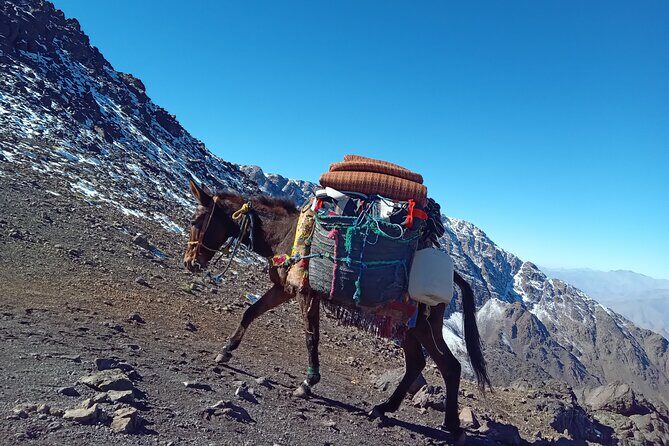 Climb Mount Toubkal 2 Days From Marrakech all Included - Who Should Consider This Tour?