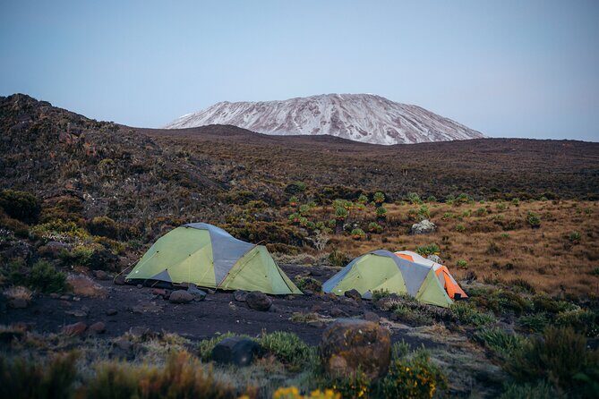 Climbing Kilimanjaro through 7 days Machame Route - Introduction: What Makes This Kilimanjaro Trek Worth Considering?