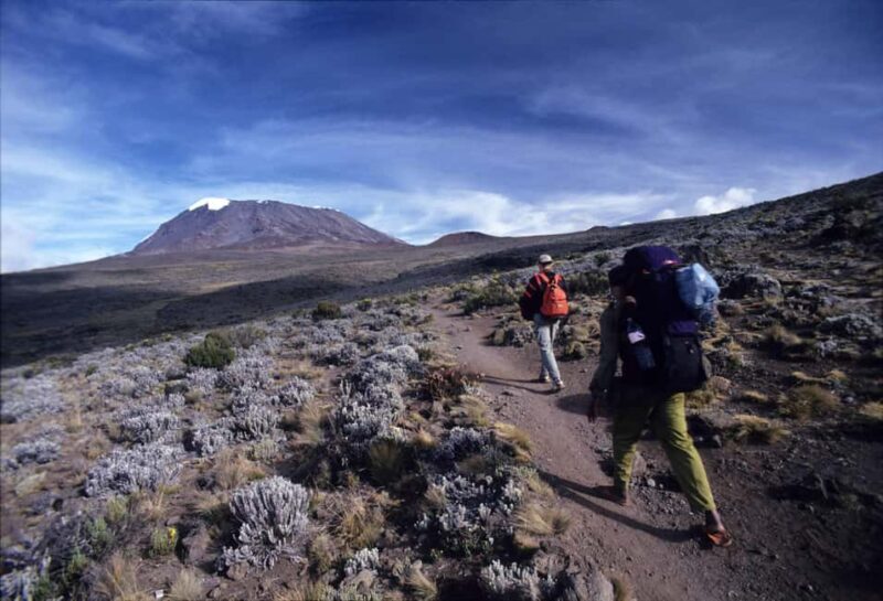 Climbing Mt.Kilimanjaro Machame Route 7 Days - An In-Depth Look at the 7-Day Machame Route