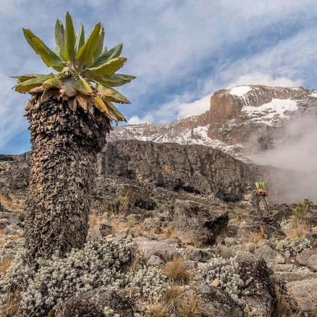 Climbing Mt. Kilimanjaro via Marangu route 6 days - Key Points