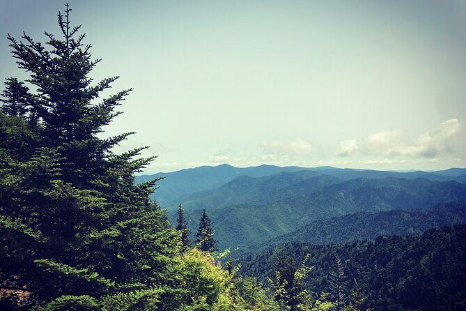 Clingmans Dome Hike - What to Expect from the Clingmans Dome Hike