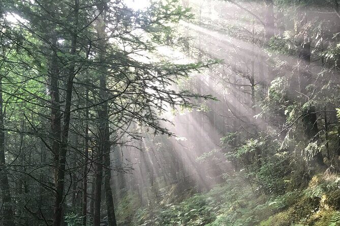 Clingmans Dome Hike - The Experience in Detail: Breaking Down the Itinerary