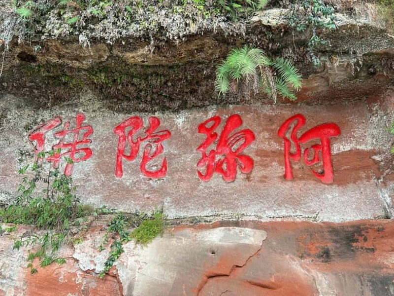Close to Chengdu: Leshan Giant Buddha & Tasty Local Eats - The Experience: What You Can Expect