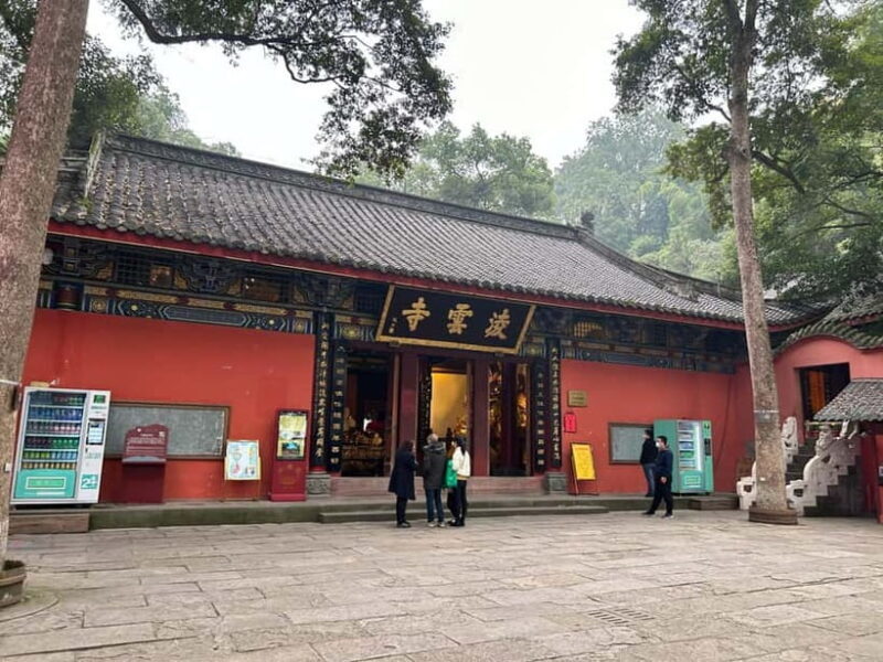 Close to Chengdu: Leshan Giant Buddha & Tasty Local Eats - Who Will Enjoy This Tour?