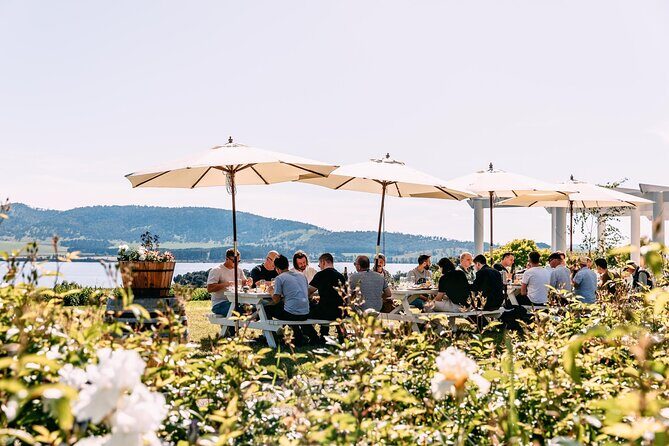 Coal River Wine Hopper - What This Tour Means for You