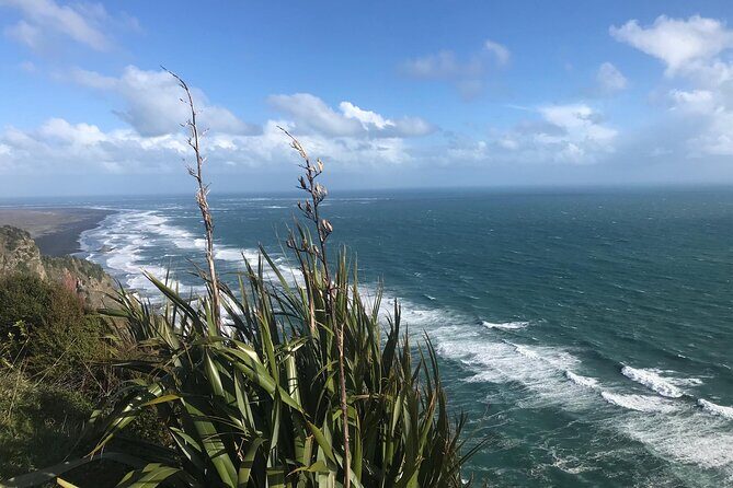 Coast and Rainforest Eco-Tour from Auckland with Picnic Lunch - Who Should Consider This Tour?