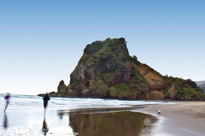 Coast and Rainforest Eco-Tour from Auckland with Picnic Lunch - FAQ
