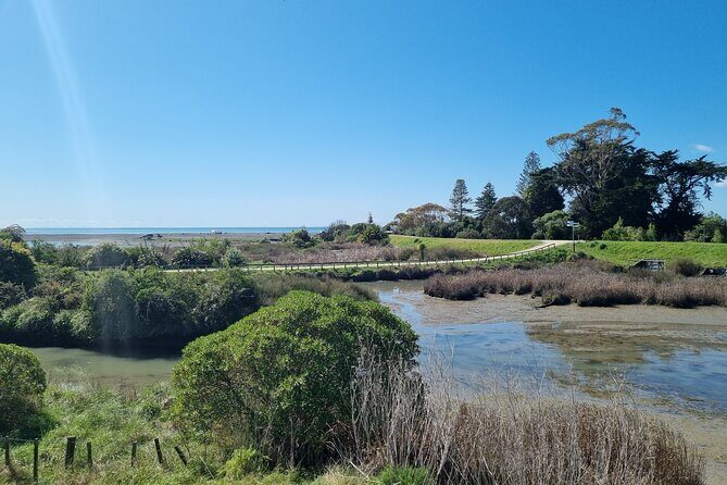 Coast to Country Winery Cycle Tour - What Its Like to Ride and Taste