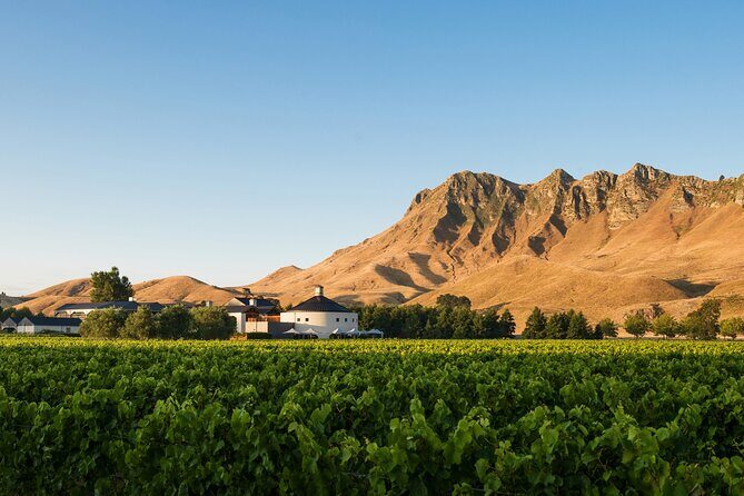 Coast to Country Winery Cycle Tour - Who Will Enjoy This Tour?